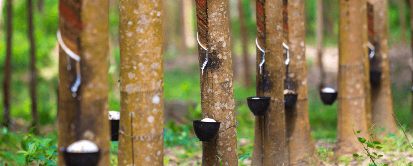 Natural Rubber