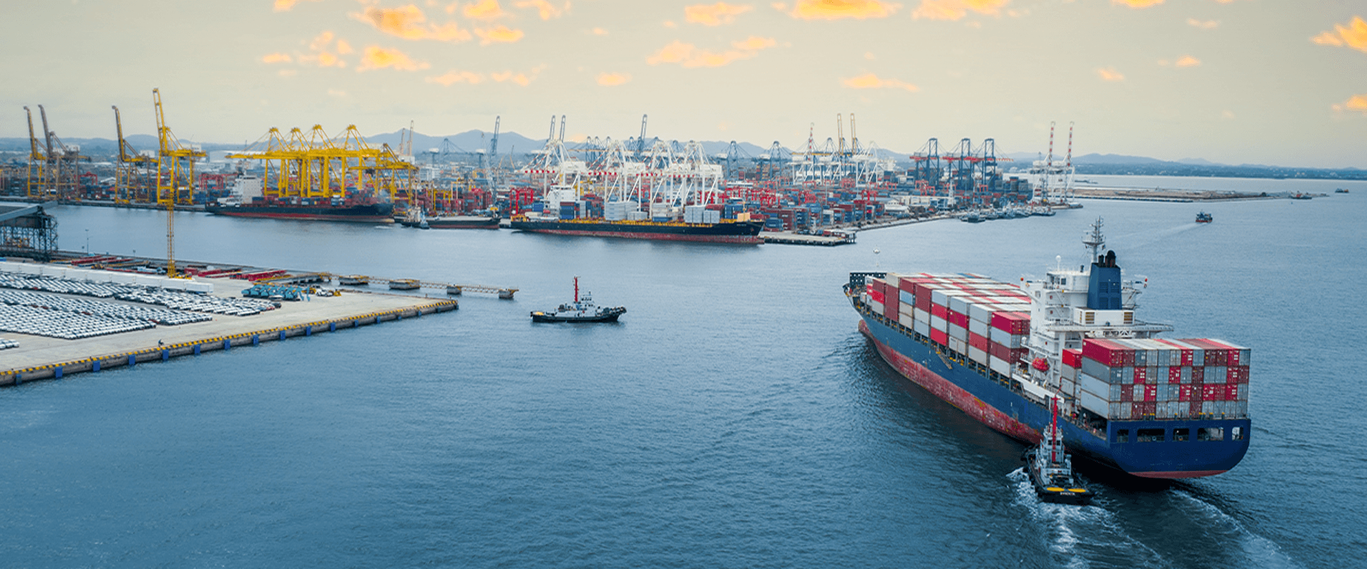 5 Reasons Why You Should Hire the Right Freight Forwarder