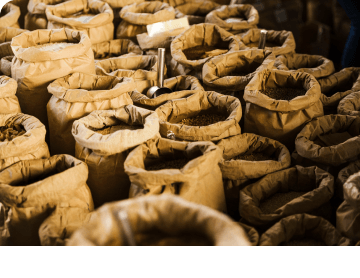 Primary Distribution