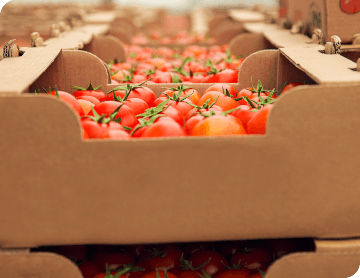 Cold Chain Logistics