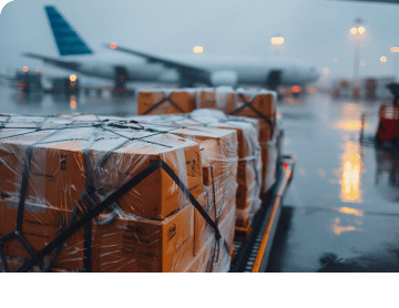 Customs & Compliance